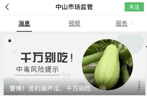 吃葫芦瓜视频素材下载免费,免费下载视频,解锁家常烹饪秘诀 第3张 吃葫芦瓜视频素材下载免费,免费下载视频,解锁家常烹饪秘诀 第3张