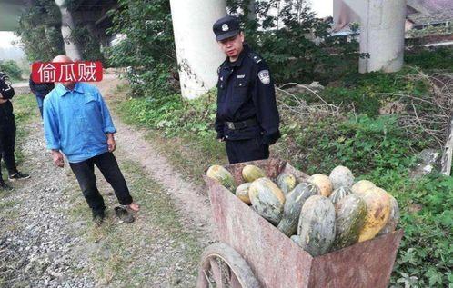 汾阳吃瓜最新事件爆料视频,最新爆料视频揭秘惊人内幕  第3张