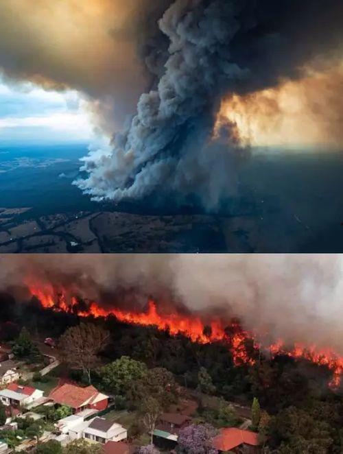 澳大利亚山火最新爆料 第3张 澳大利亚山火最新爆料 第3张